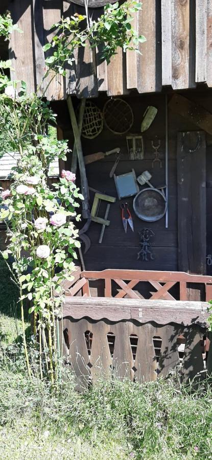 Haus Fritz - Erholung In Den Bergen Apartamento Donnersbachwald Exterior foto