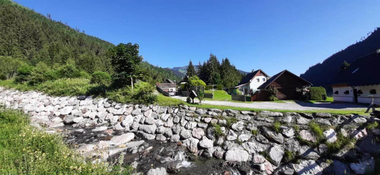Haus Fritz - Erholung In Den Bergen Apartamento Donnersbachwald Exterior foto